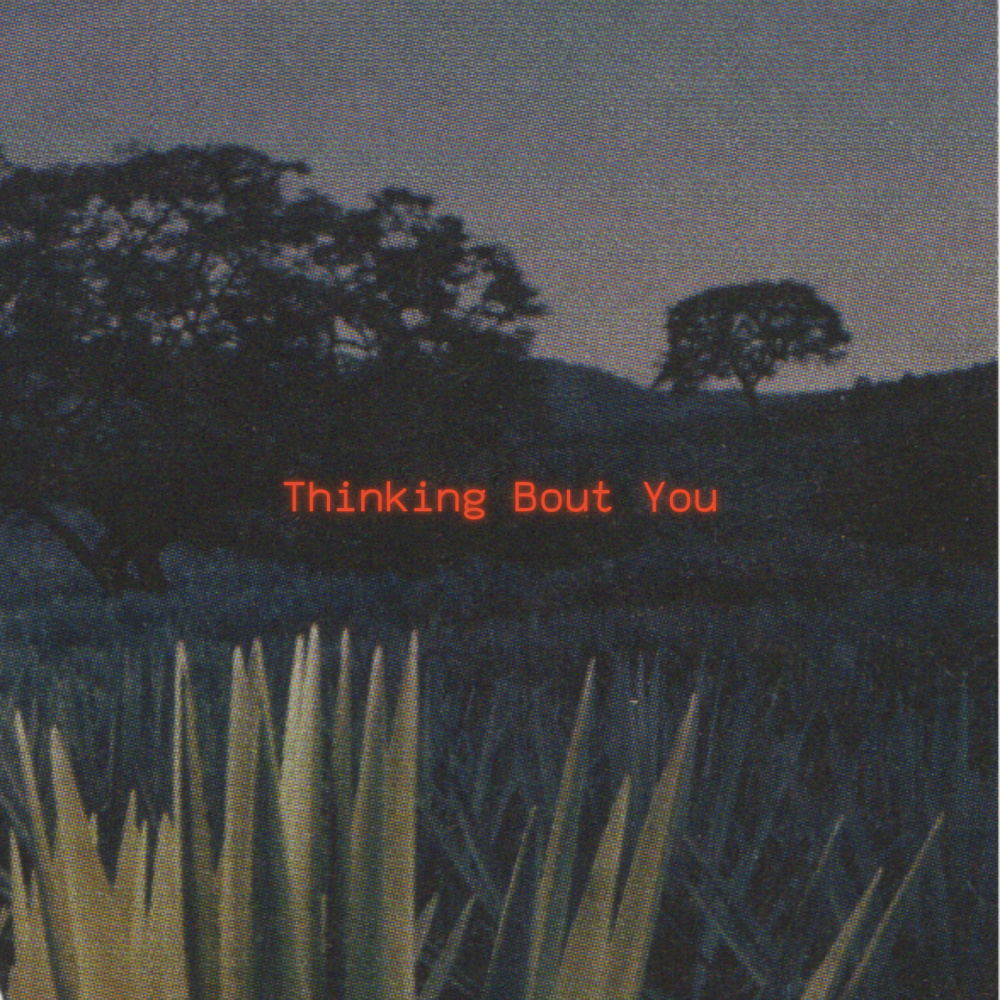 Thinking Bout You