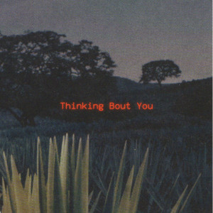 Listen to Thinking Bout You song with lyrics from C Note