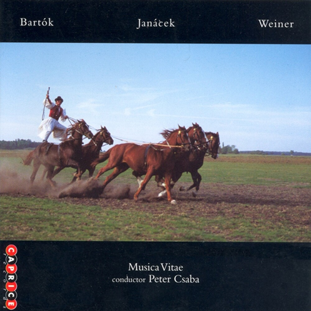 Divertimento No. 1, Op. 20: V. Pestle dance