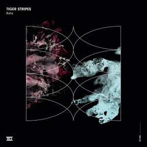 ดาวน์โหลดและฟังเพลง Baby (Radio Edit) พร้อมเนื้อเพลงจาก Tiger Stripes