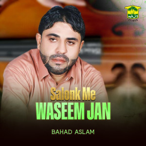 Bahad Aslam的專輯Salonk Me Waseem Jane