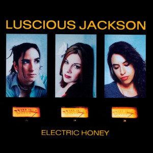 ดาวน์โหลดและฟังเพลง Devotion พร้อมเนื้อเพลงจาก Luscious Jackson