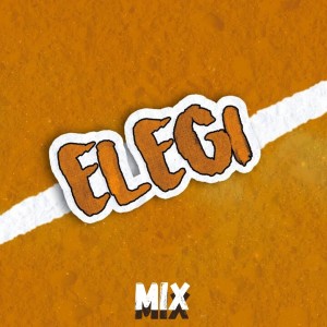 ดาวน์โหลดและฟังเพลง Elegí Mix (Remix) พร้อมเนื้อเพลงจาก Dj Perreo