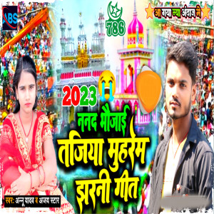 Album Nanad Bhaujai Tajiya Muharram Jharani Geet from 