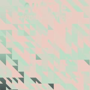 Listen to Percolated Cartoon song with lyrics from Shale Bder