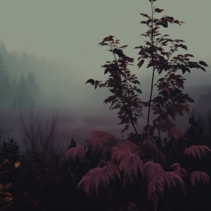 Listen to Iceland song with lyrics from Umbra