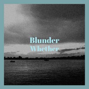 Listen to Blunder Whether song with lyrics from Roben Tinny