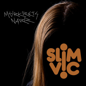 Listen to Fundament (Part 1) song with lyrics from Slim Vic