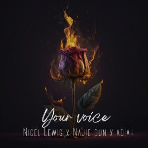收聽Nigel Lewis的Your Voice (feat. Najie Dun & Adiah)歌詞歌曲