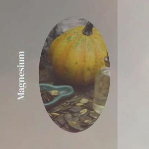 Various的专辑Magnesium