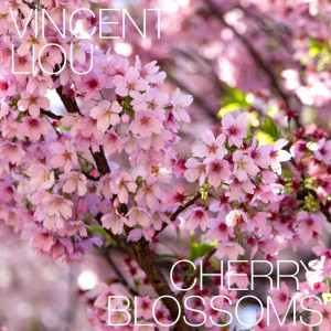 ดาวน์โหลดและฟังเพลง Cherry Blossoms พร้อมเนื้อเพลงจาก Vincent Liou