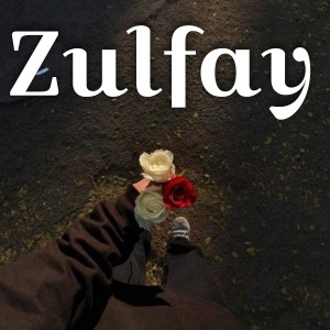 Listen to Zulfay song with lyrics from Brishna Amil