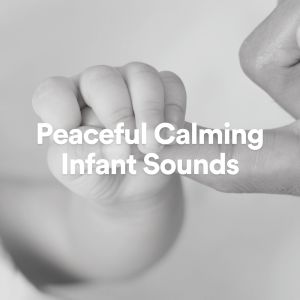 Crafting Audio的专辑Peaceful Calming Infant Sounds