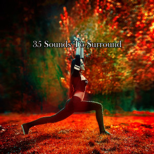 Album 35 Sounds To Surround oleh Mindfulness Meditation Universe