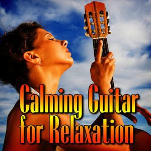 ดาวน์โหลดและฟังเพลง Serene Sigh - For Emotional Healing and Meditation พร้อมเนื้อเพลงจาก Yoga Relaxation Music