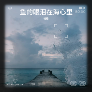 收听格格的鱼的眼泪在海心里 (cover: 袁耀发) (完整版)歌词歌曲
