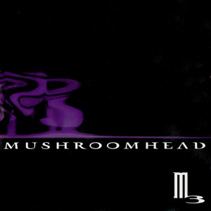 ดาวน์โหลดและฟังเพลง Solitaire / Unraveling (Explicit) พร้อมเนื้อเพลงจาก Mushroomhead