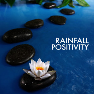 收聽Meditation Rain的Birds Flee the Rain歌詞歌曲