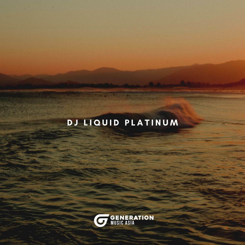 DJ LIQUID PLATINUM