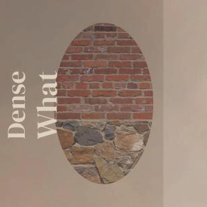 Dense What dari Various