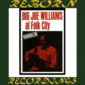 Big Joe Williams at Folk City (Hd Remastered)