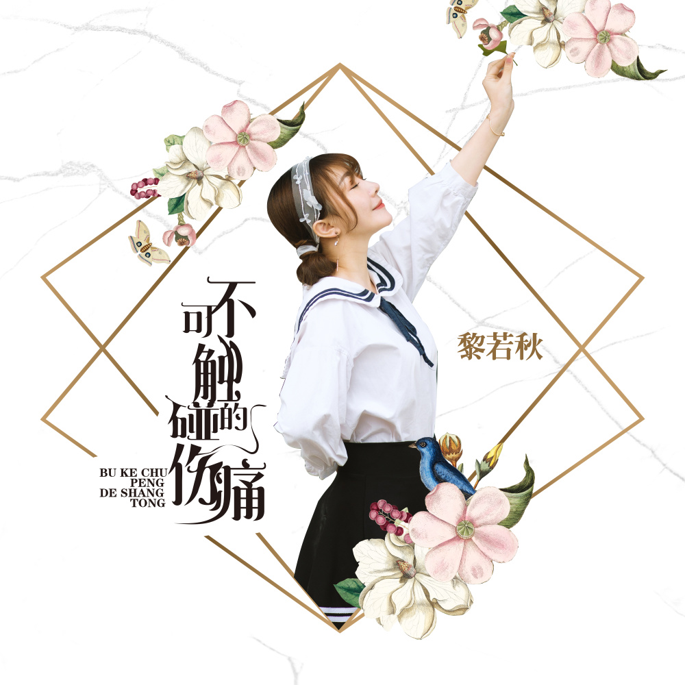 不可触碰的伤痛 (伴奏)