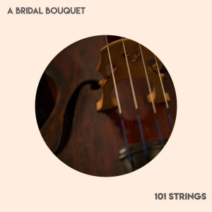 收听101 strings的Bridal March (Here Comes The Bride)歌词歌曲