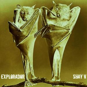 收聽Explorador.noise的Obstaculizame Esta歌詞歌曲