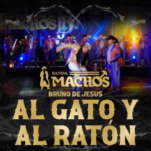 收聽Banda Machos的Al Gato Y Al Ratón歌詞歌曲