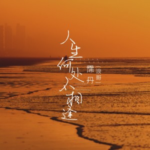 Listen to 人生何处不相逢 (1.05x混响版) song with lyrics from 浪哥