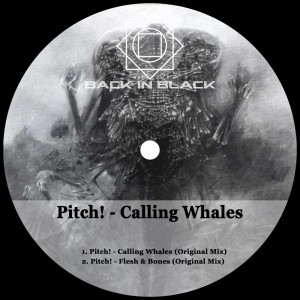 Dengarkan Flesh & Bones lagu dari Pitch! dengan lirik