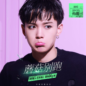Listen to 蘑菇别跑 ("野蛮人大作战" 同人主题曲) song with lyrics from 孙晨