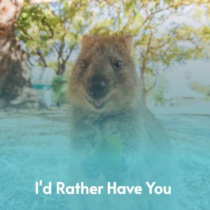 Listen to If Ever I Would Leave You song with lyrics from The Bachelors