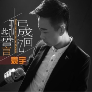 收听袁宇的那些誓言已成回忆 (完整版)歌词歌曲