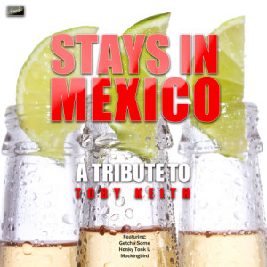 Ameritz Tribute Tracks的專輯Stays in Mexico - A Tribute to Toby Keith