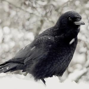 ดาวน์โหลดและฟังเพลง The Arms of Winter พร้อมเนื้อเพลงจาก Andrew Soto