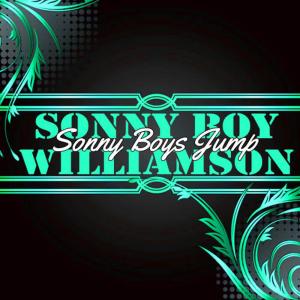 收聽Sonny Boy Williamson的Springtime Blues (feat. Big Bill Broonzy, Blind John Davis & Charlie Mccoy)歌詞歌曲