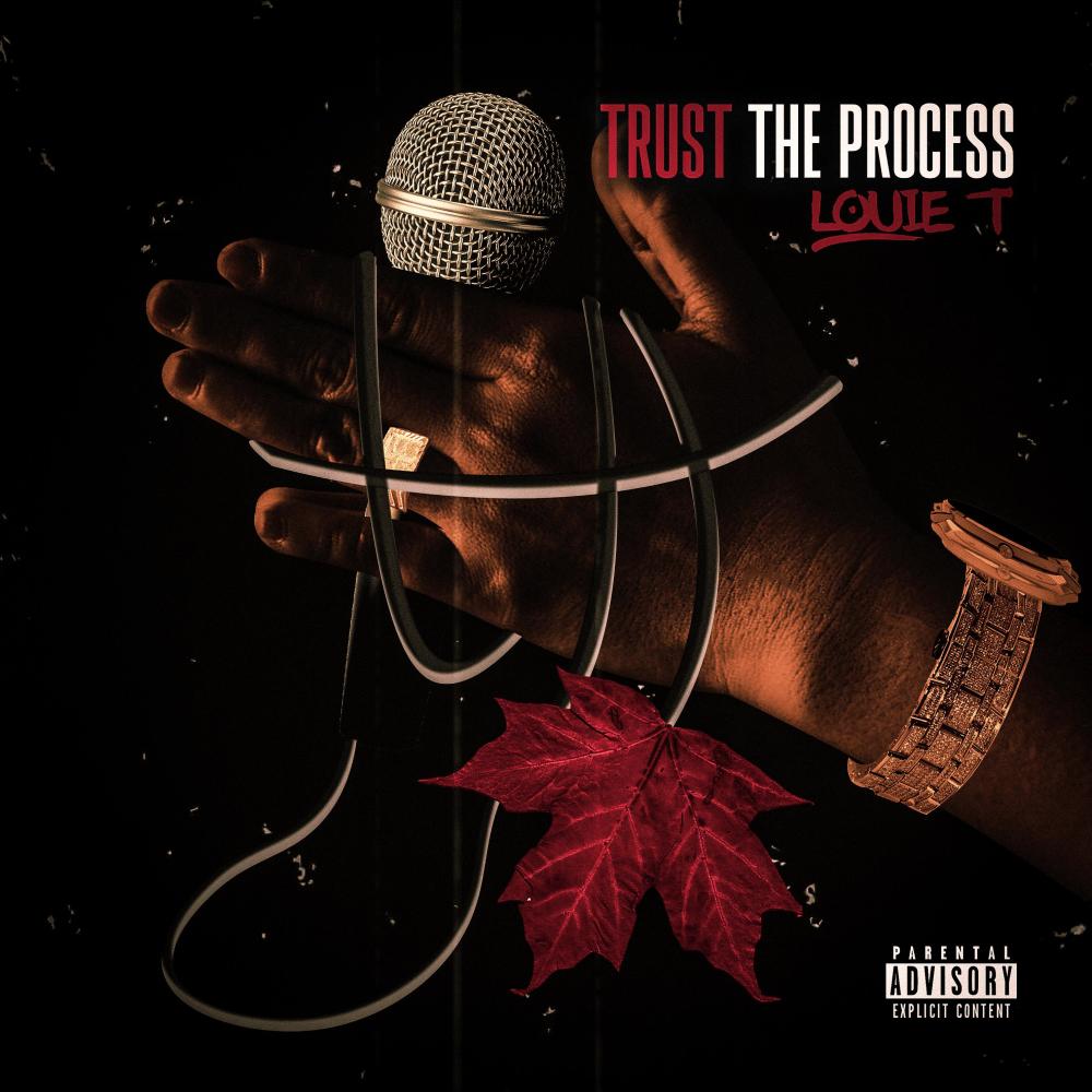 Trust the Process (Explicit)