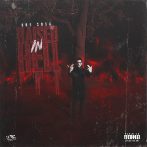 Listen to Altercation (Explicit) song with lyrics from Boe Sosa
