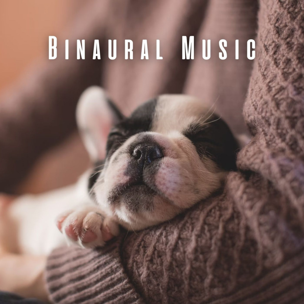 Binaural Tunes for Doggie Joy