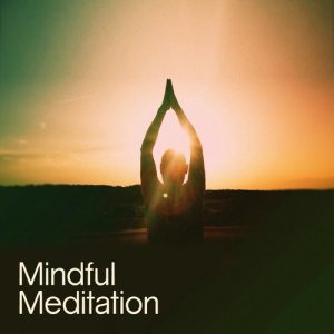 Deep Sleep Meditation的專輯Mindful Meditation