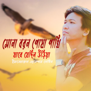 Album সোনা বরন পোষা পাখি যাবে যেদিন উড়িয়া from 