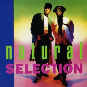 ดาวน์โหลดและฟังเพลง I Can Take You There พร้อมเนื้อเพลงจาก Natural Selection