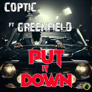 Album Put It Down from 