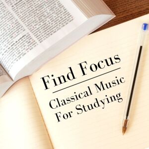 Listen to Sonata for Piano No. 2 in B flat minor, Op. 35 song with lyrics from Homelanders Orchestra