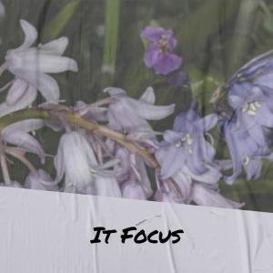 Various的专辑It Focus