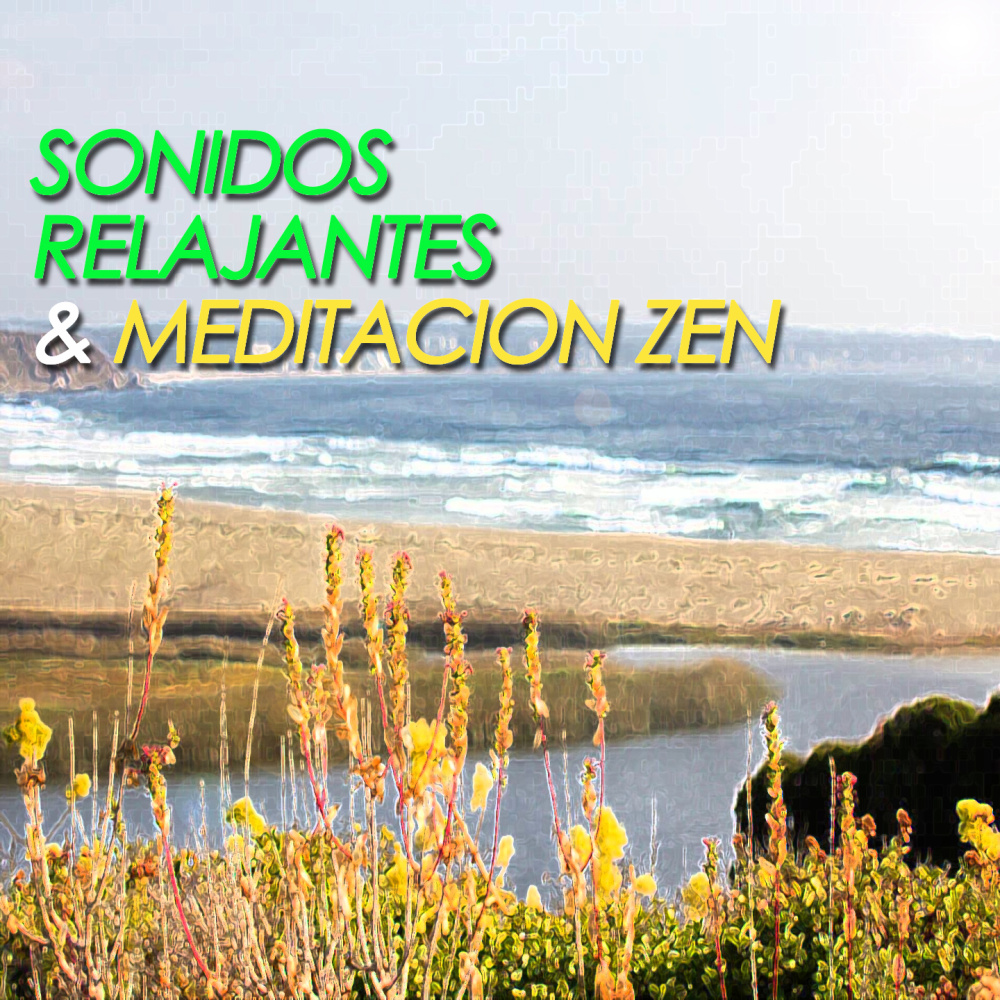 Sonidos Relajantes Para Meditar (Relaxing)