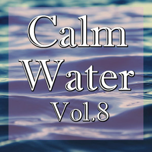 Various Artists的專輯Calm Water, Vol.8