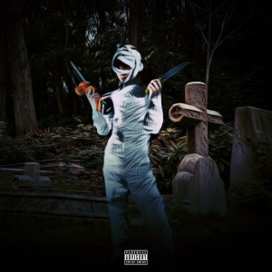 Album Lil Ceo (Explicit) from ch1tkey