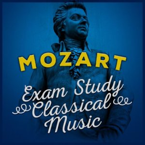 ดาวน์โหลดและฟังเพลง String Quartet No. 18 in A Major, K. 464: III. Andante พร้อมเนื้อเพลงจาก Juilliard String Quartet